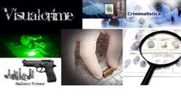 Logo visualcrime